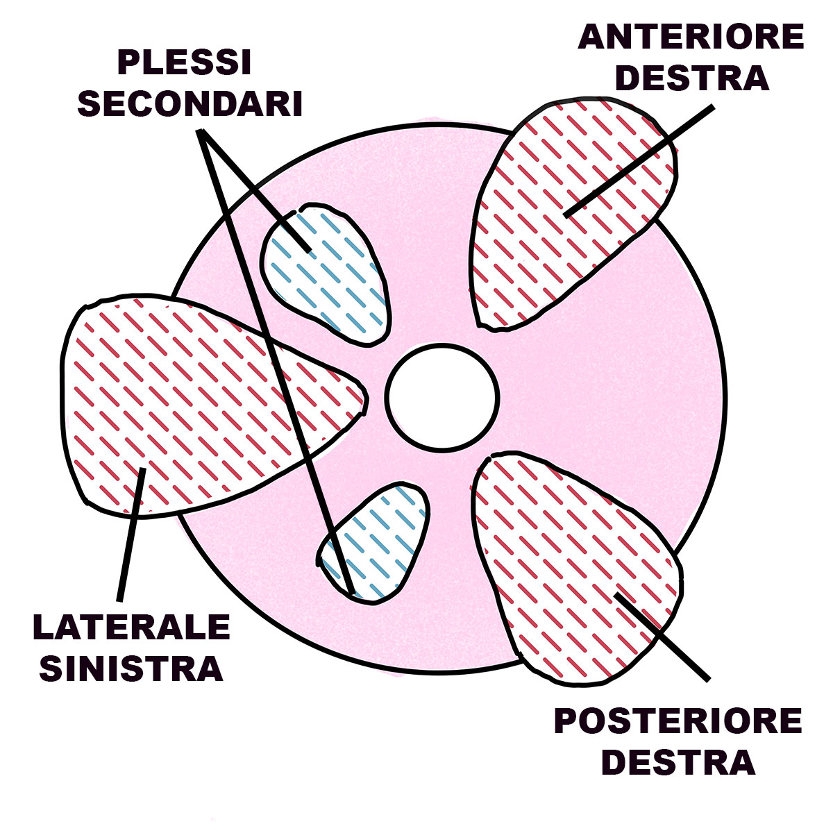 Proctologo in centro a Milano